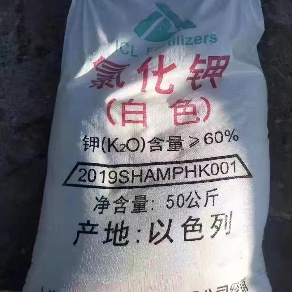 60以色列精细小包