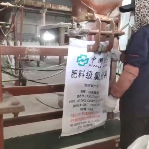 氯化钾实拍